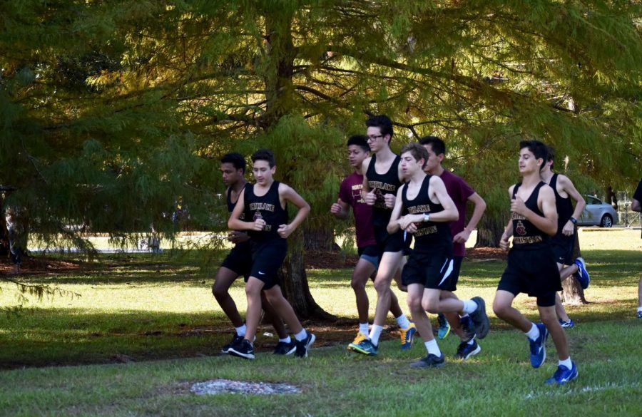 Cross Country athletes excel in season