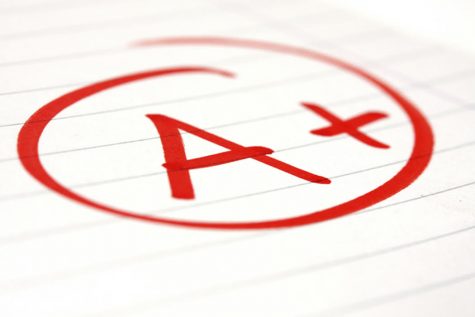 How To Make Straight A’s This Year!