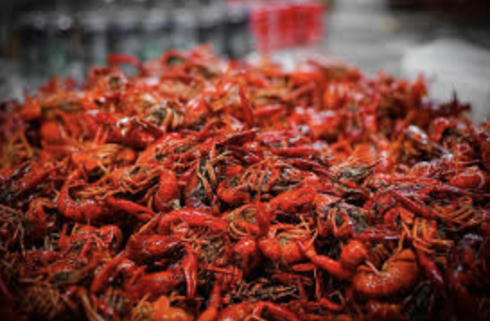 Crawfish Season